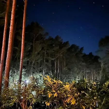 Wald & Duene Appartamento