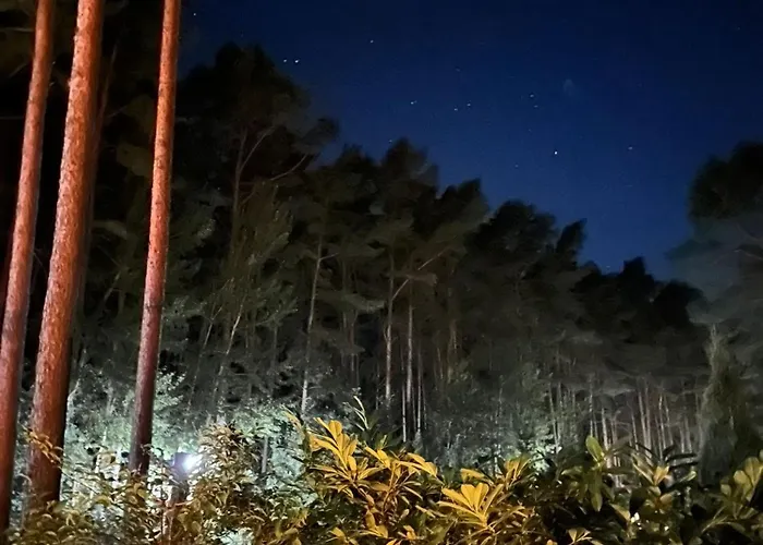 Wald & Duene דירה