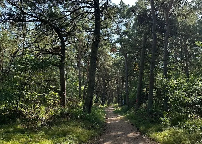 Wald & Duene *